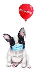 Cute french bulldog puppy in medical mask. Hand drawn watercolor - 366985261