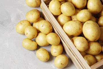 Basket with young potato on gray background. place for text