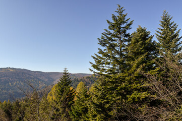 panoramic view of the mountains