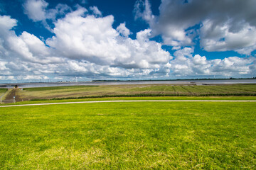 Alluvial land of the dollar in front of the dike on the North Sea in summer with a blue sky