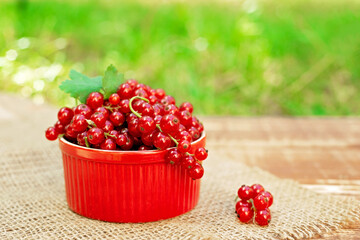 Red currant berries in a cocotte on a background of greenery, wooden with burlap. Natural vitamins concept.