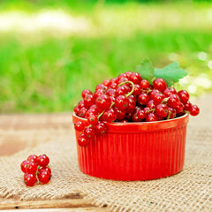 Red currant berries in a cocotte on a background of greenery, wooden with burlap. Natural vitamins concept.