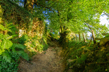 Trecking por montes de Andoain del Pais Vasco al atardecer