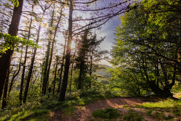 Obraz premium Trecking por montes de Andoain del Pais Vasco al atardecer