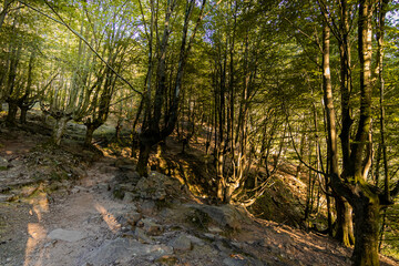 Trecking por montes de Andoain del Pais Vasco al atardecer