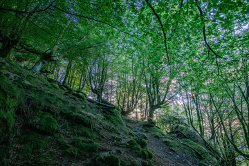 Trecking por montes de Andoain del Pais Vasco al atardecer