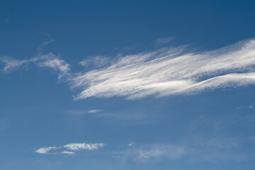 Naklejka na ściany i meble Blue sky. Delicate cloud. Natural background.
