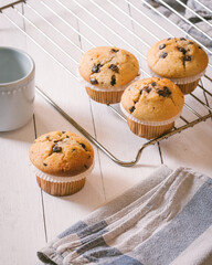 Group of homemade muffins with pieces of chocolate