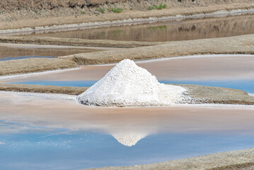 marais salants