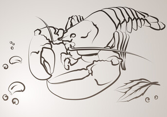 Lobster in vector. Illustration made with lines.