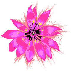 big flower vectorel drawing pattern.eps