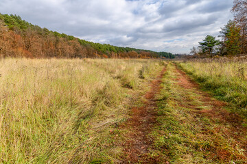 autimn road in the field