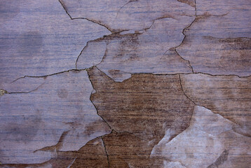 Texture of old wood covered with varnish with cracks and chips
