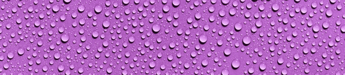 water drops on purple background	