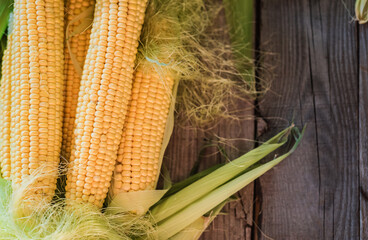 Fresh ripe corn on a wooden background. Agricultural harvest