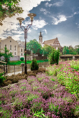 miasto Opole całe w kwiatach