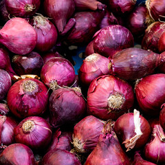 close up view of many organic red onions