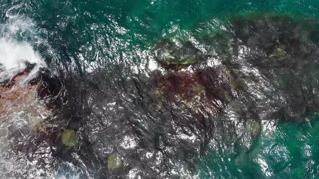 Wide drone shot of ocean waves, dark bottom and sea turtles at Kauai, Hawaii, USA