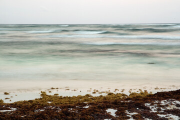 Long exposure. Summer. The beach and turquoise water ocean at sunset. Natural texture and colors. The white sand shore with sargassum seaweed and the blurred sea waves with a magical dusk light.