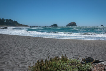 Oregon coastline with sand and grass foreground and surf and blue sky background.