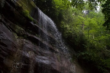 Smoky Mountain Waterfall