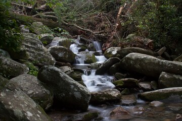 Smoky Mountain Stream