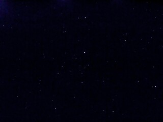 Flying dust particles on a black background. Stars in summer days 