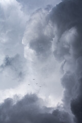 gaviotas volando entre nubes amenazantes