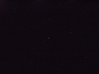 Flying dust particles on a black background. Stars in summer days 