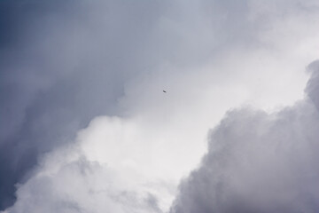 Jote volando entre las nubes del cielo antes de la tormenta