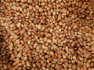 Background unsalted soy bean nuts close up