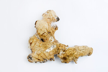 Old ugly moldy ginger, isolated on white background. Spoiled food.
