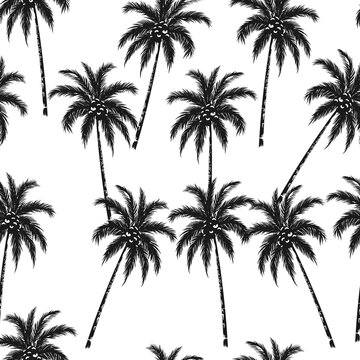 Coconut tree seamless Pattern black and white
