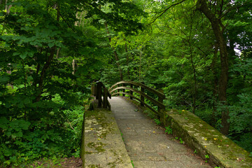 Bridge in the park