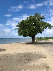 Fototapeta na wymiar Dreamlike scenery of the Caribbean sea at Playa Ancon in Cuba: Hidden travel destination with blue sky and a coastline with a white sandy beach