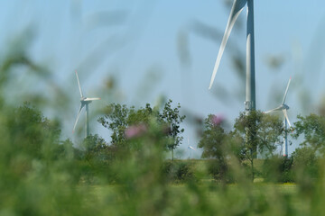 Windräder leicht verdeckt durch unscharfe Gräser im Vordergrund - Stockfoto