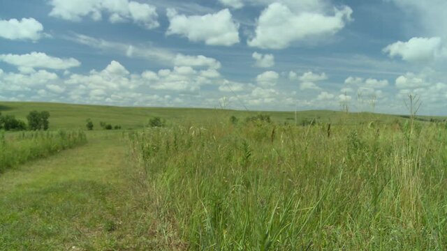 A trail in the tall grass of the Kansas prairie in the summertime.