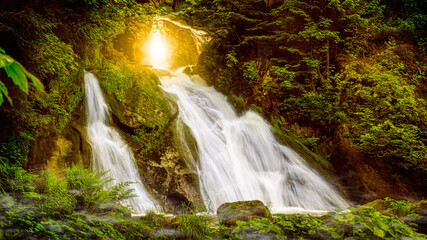 Obraz premium Märchenwald