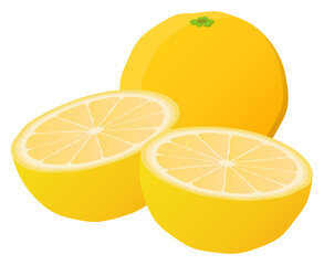 グレープフルーツ