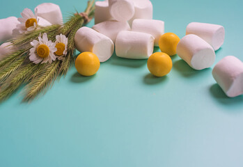 Fresh chamomile against a mint background. Sweets and flowers. Background with round chewing gums and marshmallows
