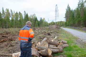 Rear view of mature man looking at pile of chopped wood in the forest