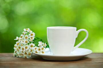 Herbal tea on a green bokeh background.