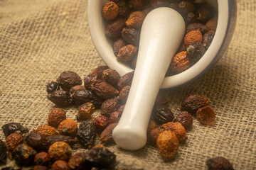 Dried rosehip fruit in a ceramic mortar and dried rosehip fruit scattered on a homespun cloth with...