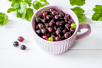 ripe red gooseberries in a cup on a white background top view. background with gooseberries and green leaves close-up.