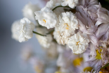 Delicate white flowers in a bouquet