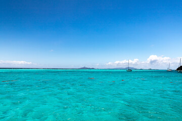 Fototapeta na wymiar Saint Vincent and the Grenadines, Sailboats on mooring in Tobago Cays