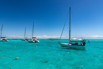 Saint Vincent and the Grenadines, Sailboats on mooring in Tobago Cays