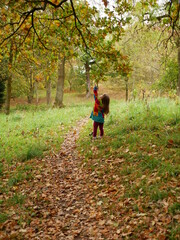 Path covered by fallen autumn leaves,  kid on a colorful jacket trying to touch a leaf from the tree above.