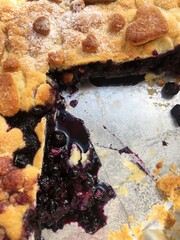 Delicious blueberry pie on the table macro 