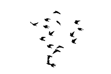 black and white running shoes